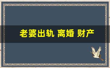 老婆出轨 离婚 财产